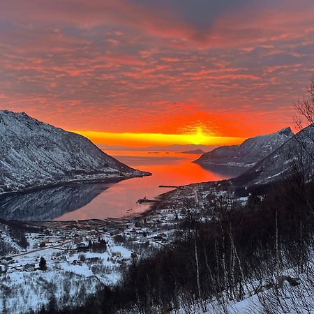 Leilighet I Rorbu Pa Kaldfarnes - Yttersia Senja Exteriör bild
