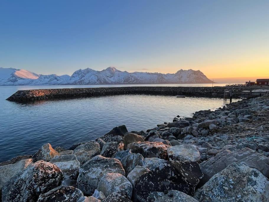 Leilighet I Rorbu Pa Kaldfarnes - Yttersia Senja Exteriör bild