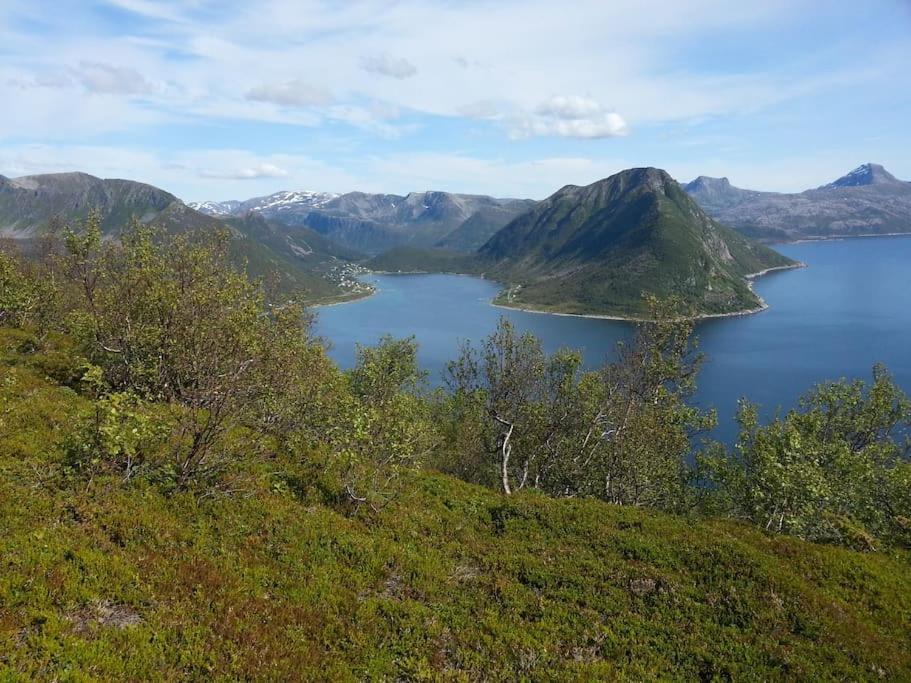 Leilighet I Rorbu Pa Kaldfarnes - Yttersia Senja Exteriör bild