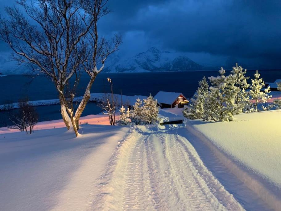 Leilighet I Rorbu Pa Kaldfarnes - Yttersia Senja Exteriör bild