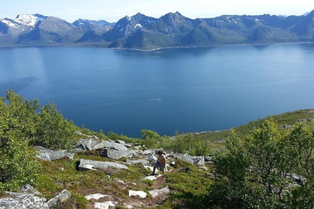 Leilighet I Rorbu Pa Kaldfarnes - Yttersia Senja Exteriör bild