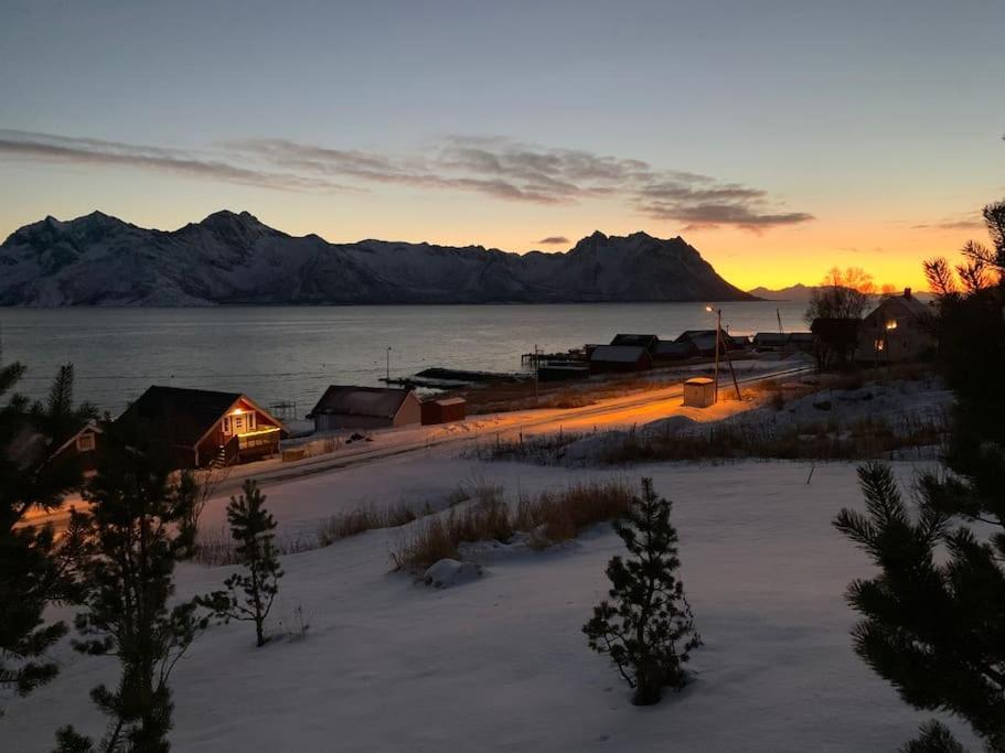 Leilighet I Rorbu Pa Kaldfarnes - Yttersia Senja Exteriör bild