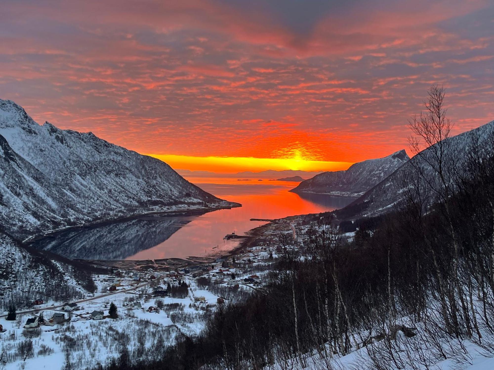 Leilighet I Rorbu Pa Kaldfarnes - Yttersia Senja Exteriör bild