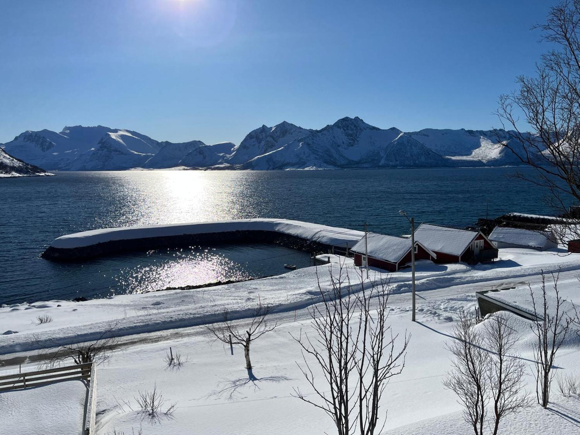 Leilighet I Rorbu Pa Kaldfarnes - Yttersia Senja Exteriör bild